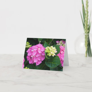 Pink Hydrangea Notecards
