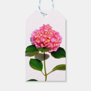 Pink hydrangea pink floral pink flower gift tags