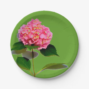 Pink hydrangea pink floral pink flower paper plate