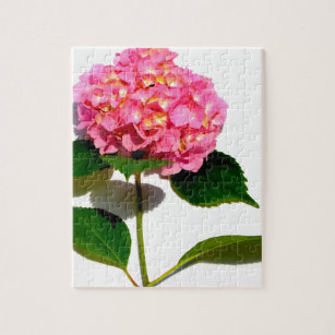 Pink hydrangea pink flower pink floral jigsaw puzzle