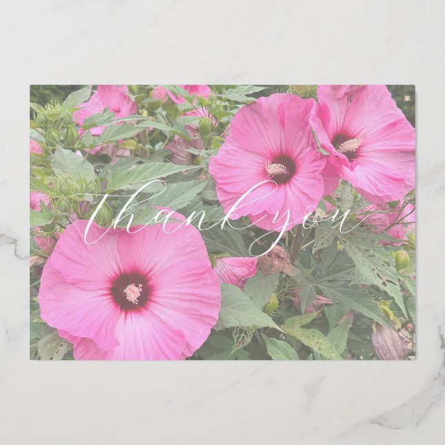 Pink Hydrangea Thank You Cards (Front)