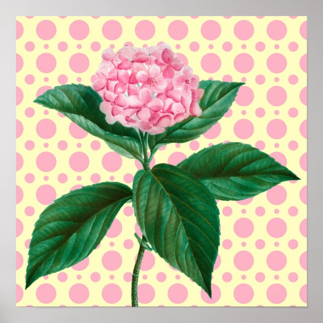 Pink Hydrangea Vintage Retro Art Flower Poster (Front)