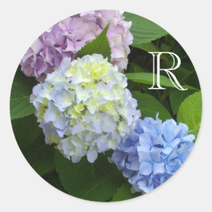 Pink Hydrangeas, blue hydrangeas, green hydrangeas Classic Round Sticker