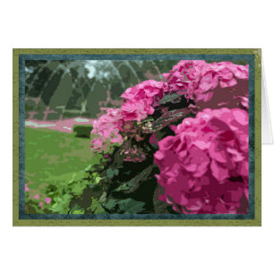 Pink hydrangeas in formal garden