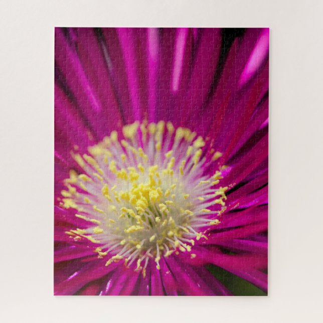 Pink Ice plant flower  Jigsaw Puzzle (Vertical)