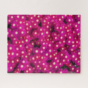pink ice plant flowers background jigsaw puzzle