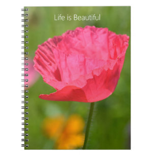 Pink Iceland Poppy Flower Garden (my photography) Notebook
