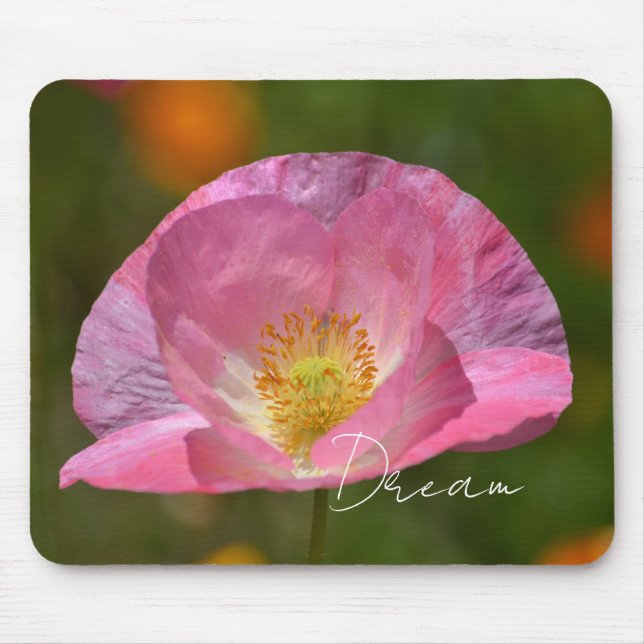 Pink Iceland Poppy (photography taken by me) Mouse Pad (Front)