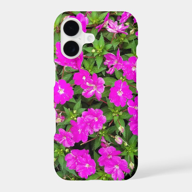 Pink Impatiens Flower Garden (Back)
