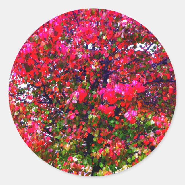 Pink impressionistic Autumn Leaves trees Classic Round Sticker (Front)