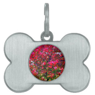 Pink impressionistic Autumn Leaves trees Pet ID Tag