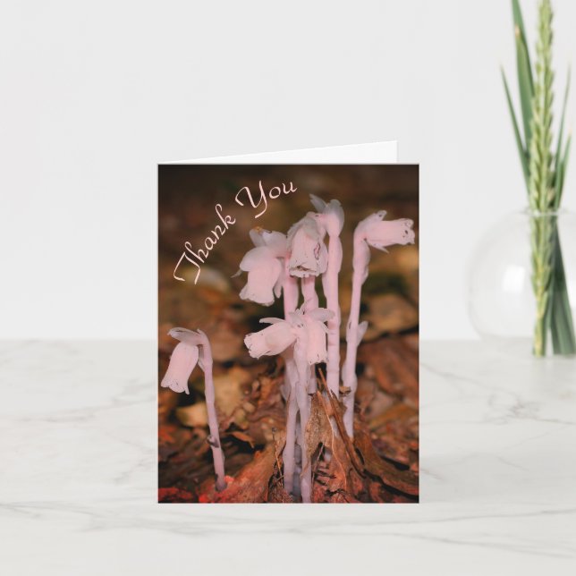Pink Indian Pipe Wildflower Nature Thank You Card (Front)