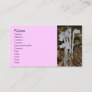 Pink Indian Pipe Wildflowers Nature Business Card