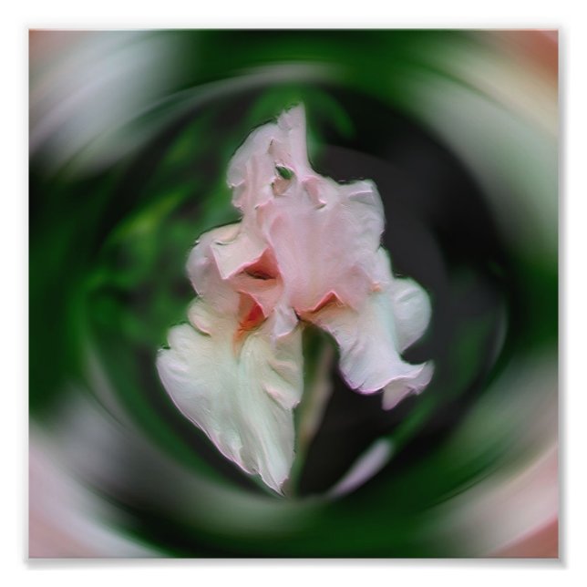 Pink Iris Flower Abstract Art 8x8 Photo Print (Front)