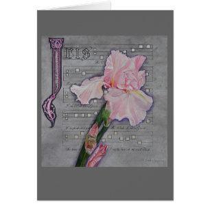 Pink Iris Manuscript