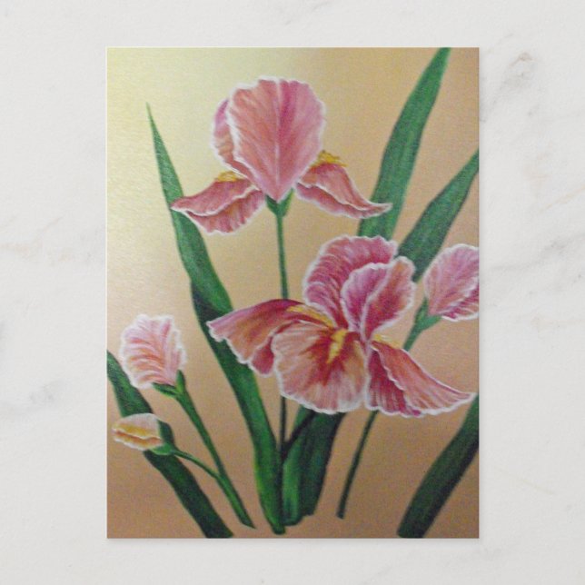 Pink Iris Postcard (Front)