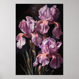Pink Irises Flower Art Print Poster
