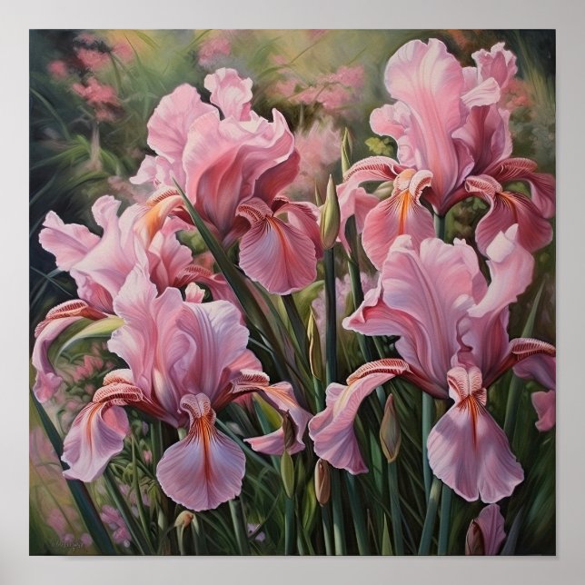 Pink Irises Flower Art Print Poster (Front)