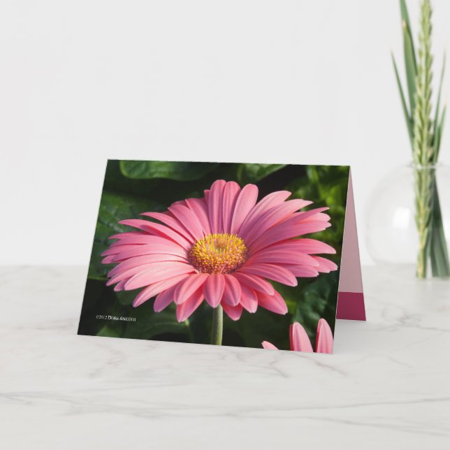 Pink is for Love Card (Front)