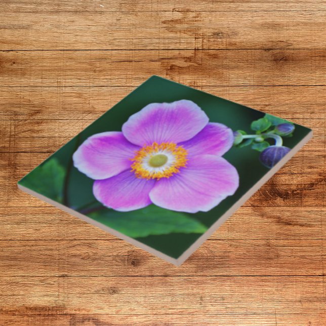 Pink Japanese Anemone Floral Tile (In Situ)