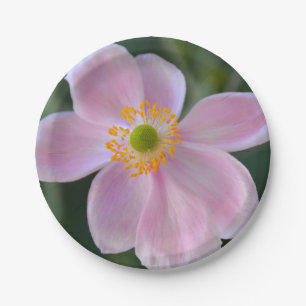 Pink japanese anemone flower paper plate