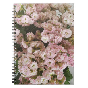 Pink Kalanchoe Plant Notebook