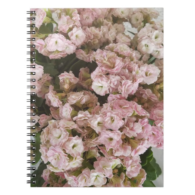 Pink Kalanchoe Plant Notebook (Front)