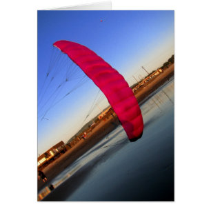 Pink Kite