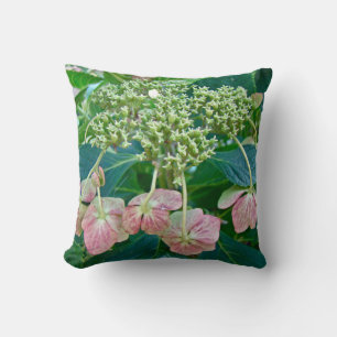 Pink Lace-Cap Hydrangea Blossoms - Pillow
