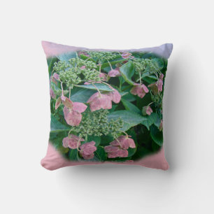 Pink Lace-Cap Hydrangea Blossoms - Pillows