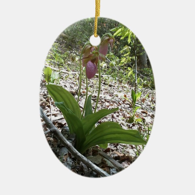 Pink lady slipper Orchid Ceramic Tree Decoration (Front)