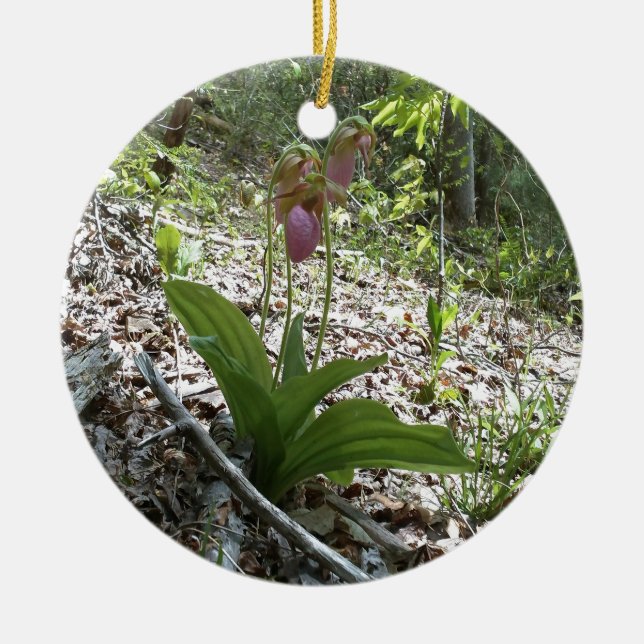 Pink lady slipper Orchid Ceramic Tree Decoration (Front)