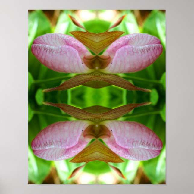 Pink Lady Slipper Orchid Flower Close Abstract  Poster (Front)
