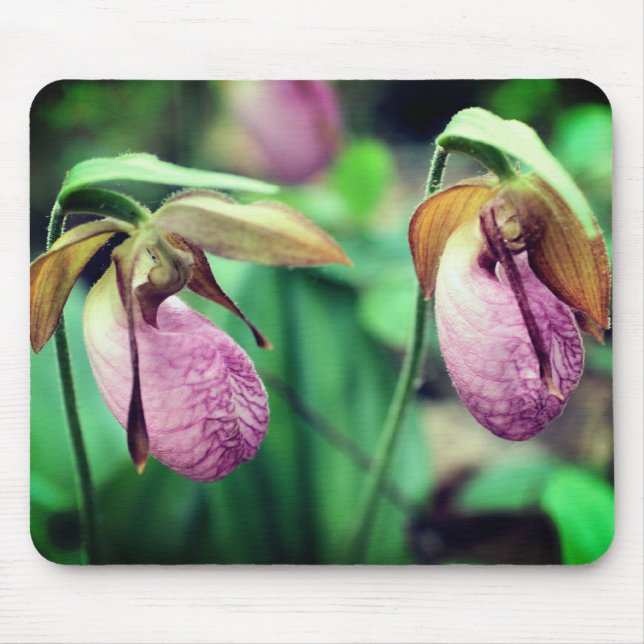 Pink Lady Slipper Orchid Flowers Mouse Pad (Front)
