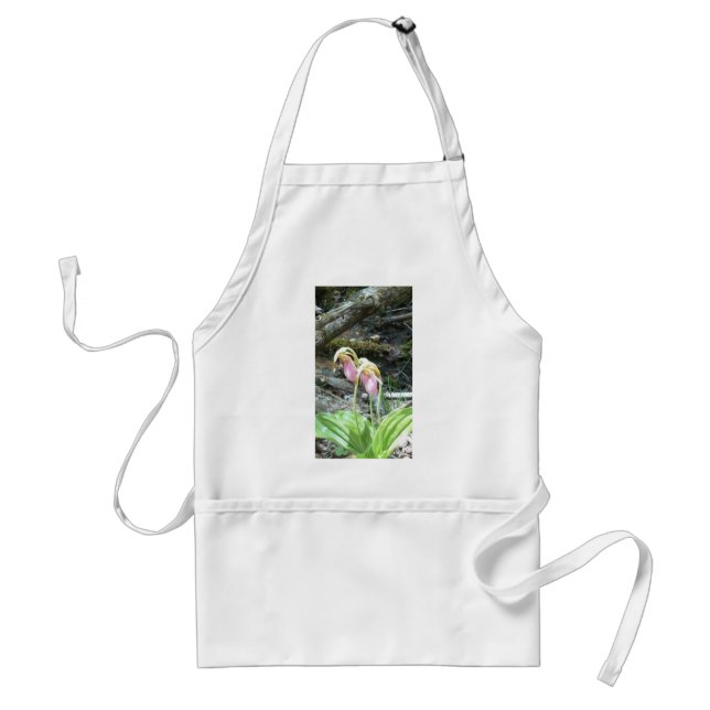 Pink Lady slipper orchid Standard Apron (Front)