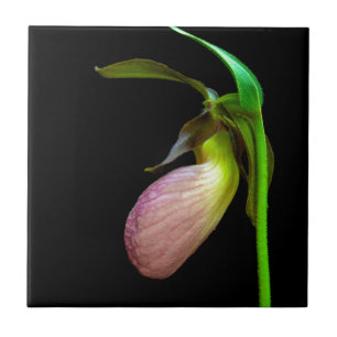 pink lady slipper tile