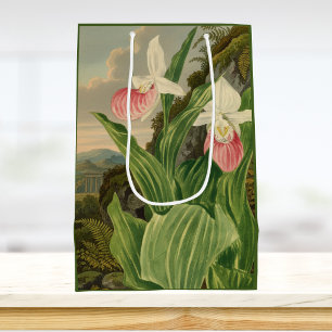 Pink Lady Slipper Vintage Botanical Orchid Medium Gift Bag