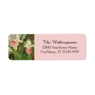 Pink Lady Slipper Vintage Floral Orchid Botanical