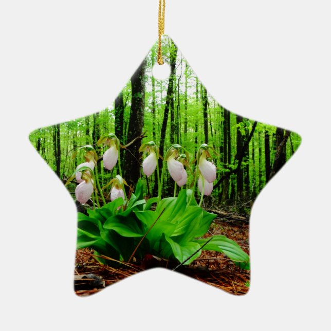 Pink Lady Slipper wild Orchid Ceramic Tree Decoration (Front)