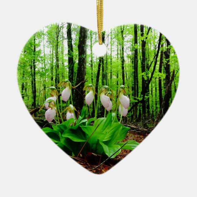 Pink Lady Slipper wild Orchid Ceramic Tree Decoration (Front)
