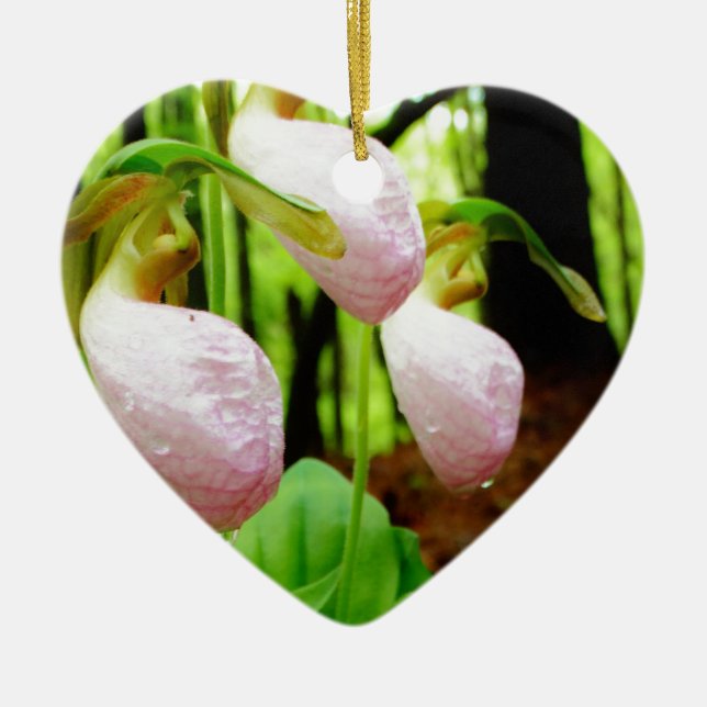 Pink Lady Slipper wild Orchid Ceramic Tree Decoration (Front)