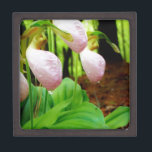 Pink Lady Slipper wild Orchid Gift Box<br><div class="desc">Pink Lady Slipper wild Orchid Photo by Sandy Closs,  taken at Lake Arrowhead Ga. Light Pink slipper shape with darker pink veins. Found growing wild in the woods,  underneath some pine trees pink flower orchids floral florals wedding nature sympathy spring woodland rose</div>