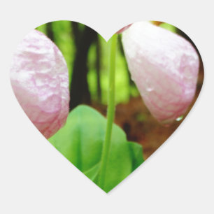 Pink Lady Slipper wild Orchid Heart Sticker