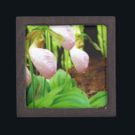 Pink Lady Slipper wild Orchid Jewellery Box<br><div class="desc">Pink Lady Slipper wild Orchid Photo by Sandy Closs,  taken at Lake Arrowhead Ga. Light Pink slipper shape with darker pink veins. Found growing wild in the woods,  underneath some pine trees pink flower orchids floral florals wedding nature sympathy spring woodland rose</div>