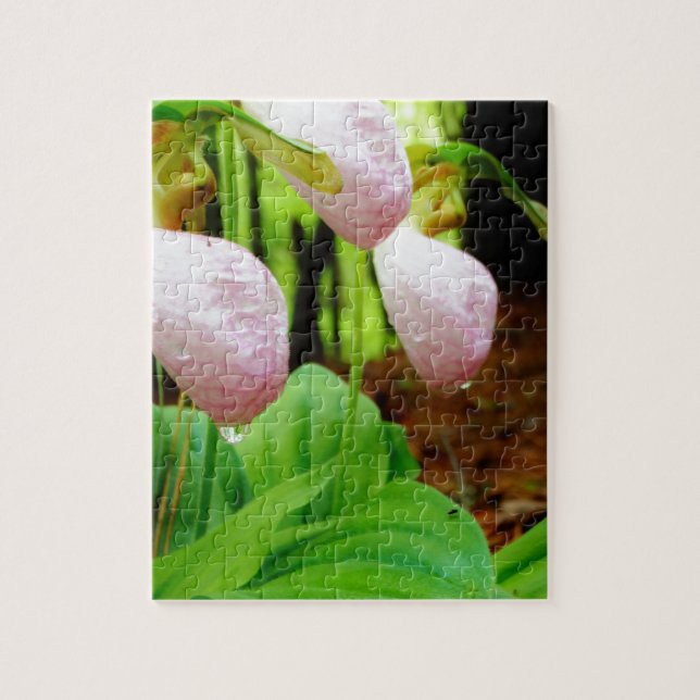 Pink Lady Slipper wild Orchid Jigsaw Puzzle (Vertical)