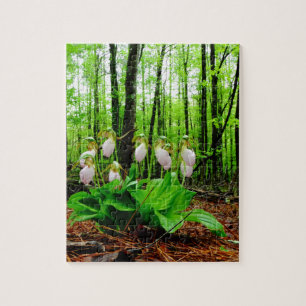Pink Lady Slipper wild Orchid Jigsaw Puzzle
