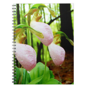 Pink Lady Slipper wild Orchid Spiral Notebook