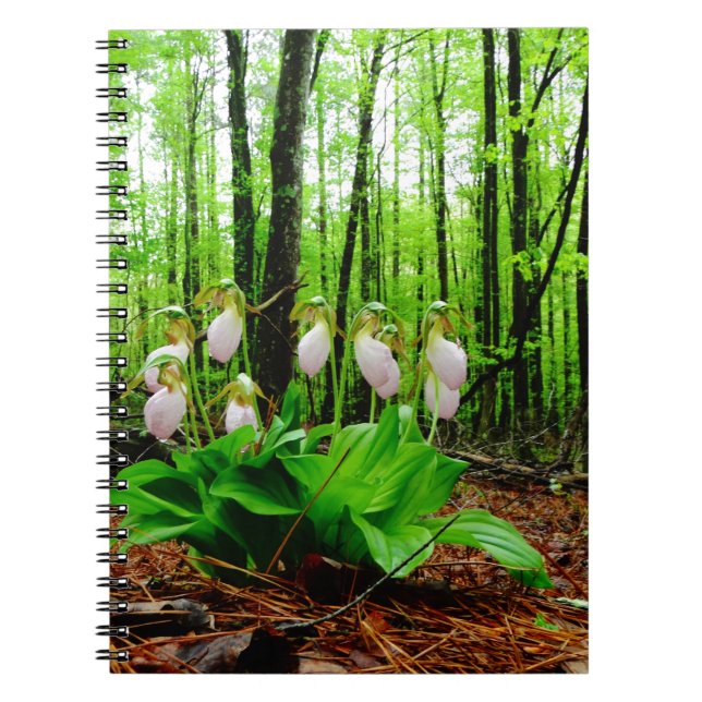 Pink Lady Slipper wild Orchid Spiral Notebook (Front)