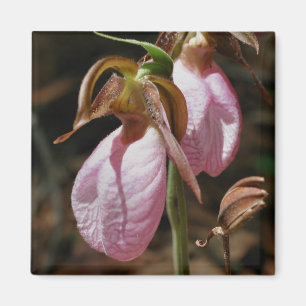 Pink Lady Slippers Flower Photography Magnet