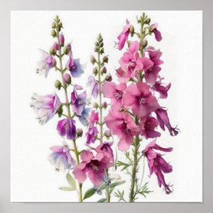 Pink Larkspur Flower Art Print Poster